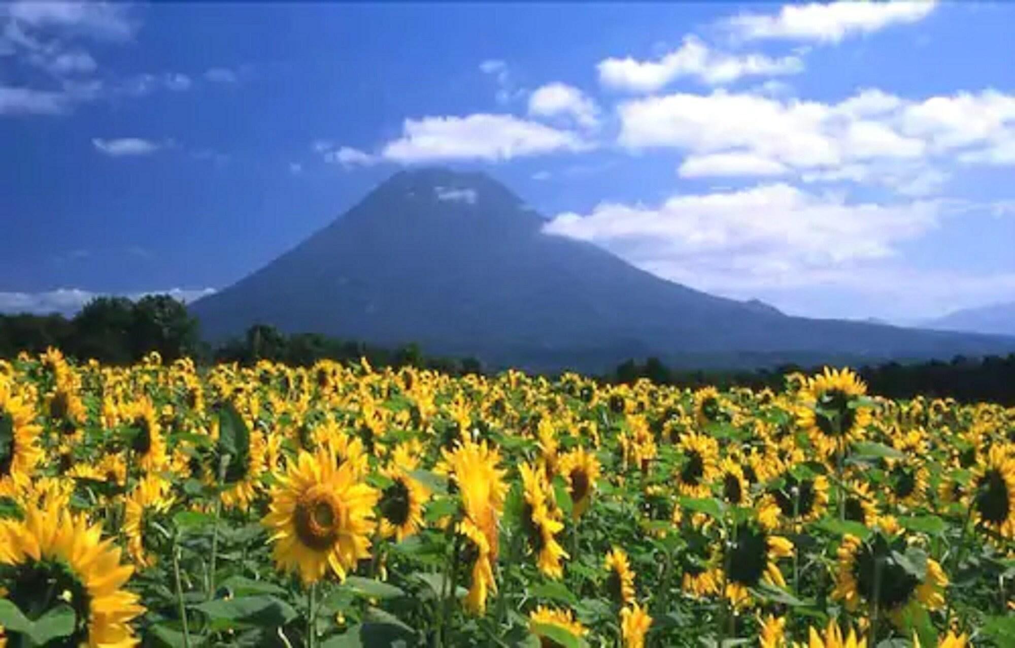 Niseko Prince Hotel Hirafutei Exteriör bild